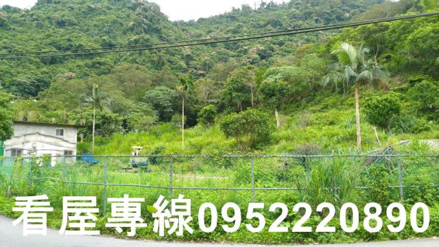 新店山坡地-5