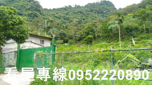 新店山坡地-8
