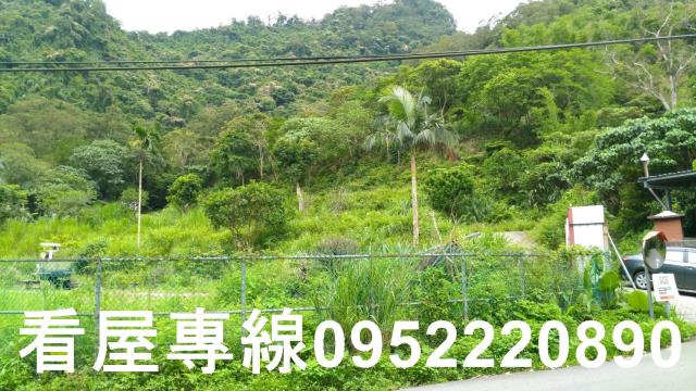 新店山坡地-9