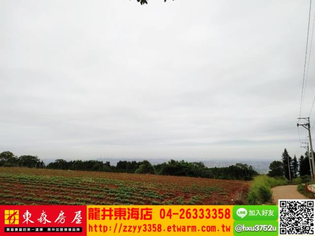 台中沙鹿山坡地-3