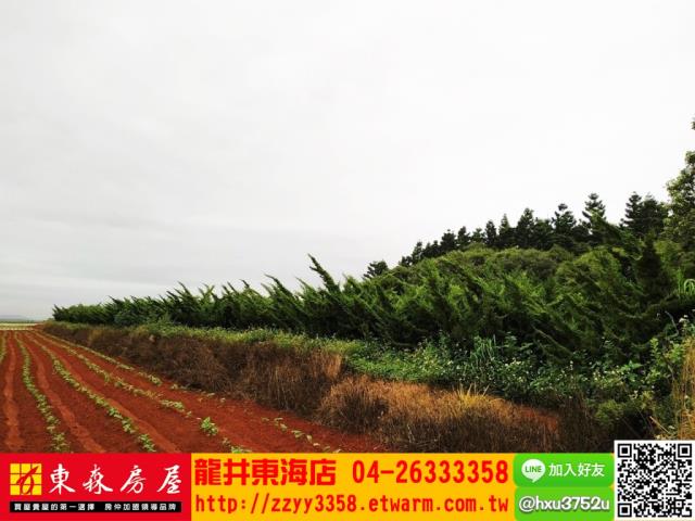 台中沙鹿山坡地-5