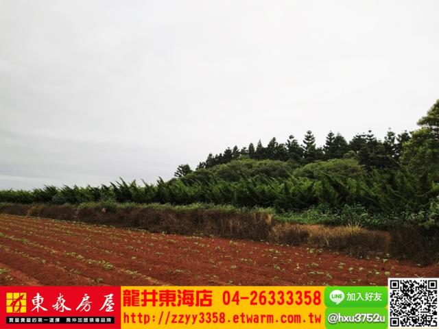 台中沙鹿山坡地-6
