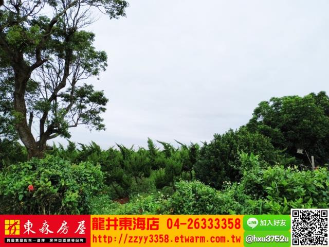 台中沙鹿山坡地-8
