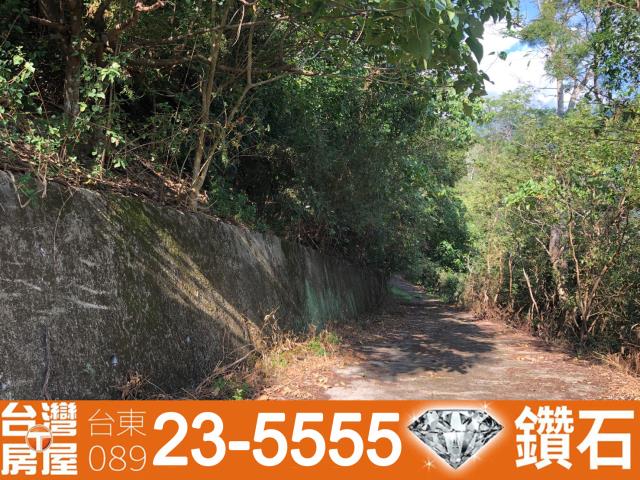 台東房屋仲介公司