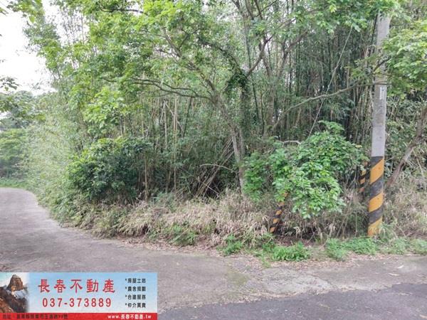 苗栗西湖農地-4
