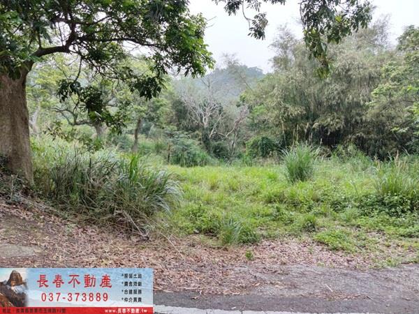 苗栗西湖農地-6