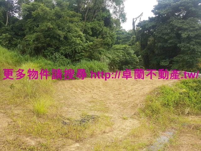 卓蘭農地-10
