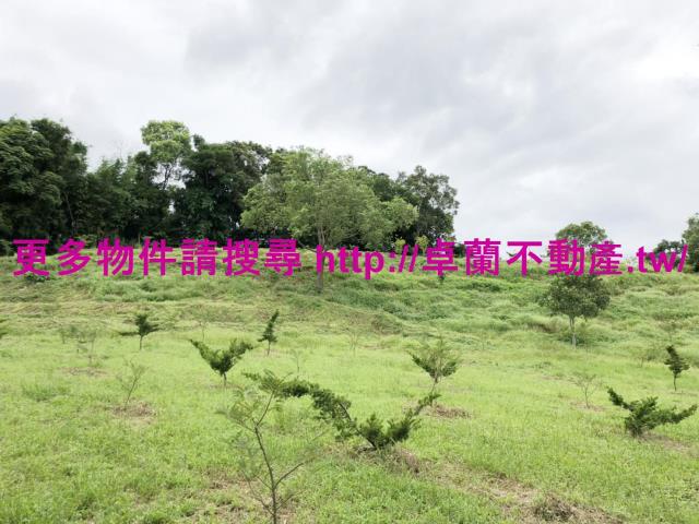 卓蘭農地-2