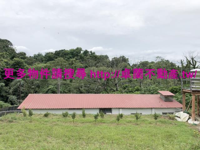 卓蘭農地-3