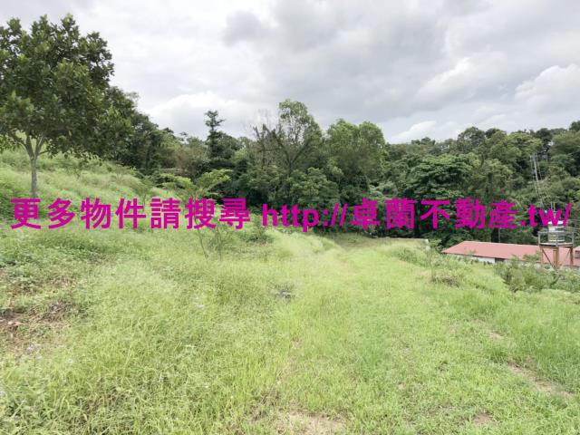 卓蘭農地-4