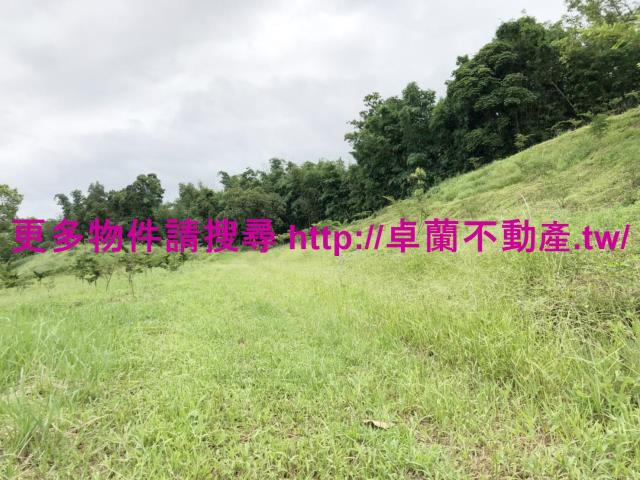 卓蘭農地-6