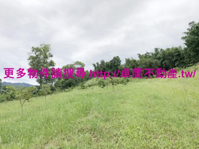 卓蘭農地-7