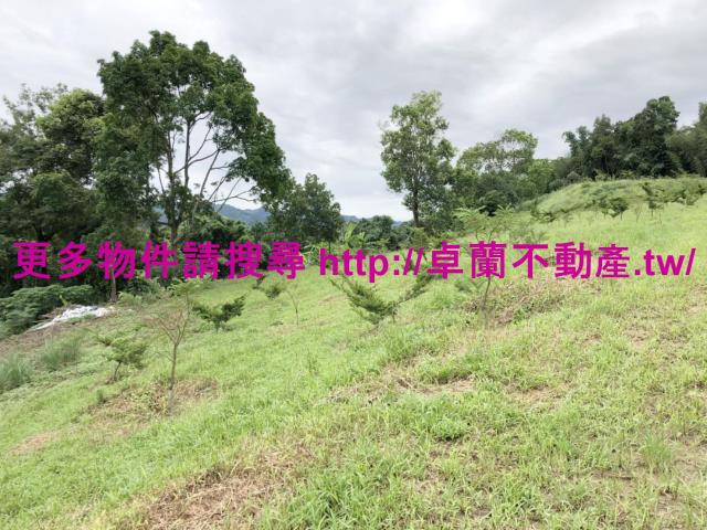 卓蘭農地-8