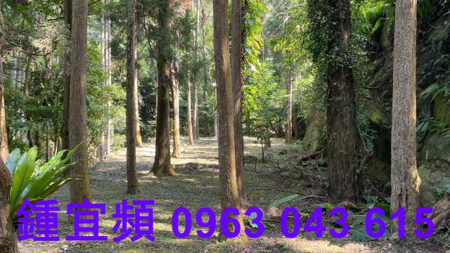 苗栗南庄農地-15