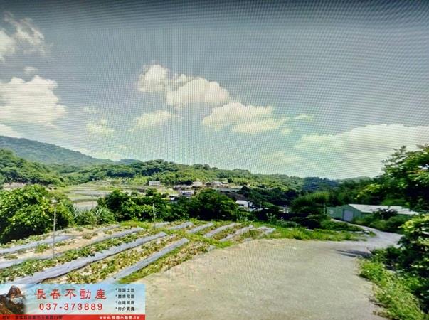 大湖農地-2