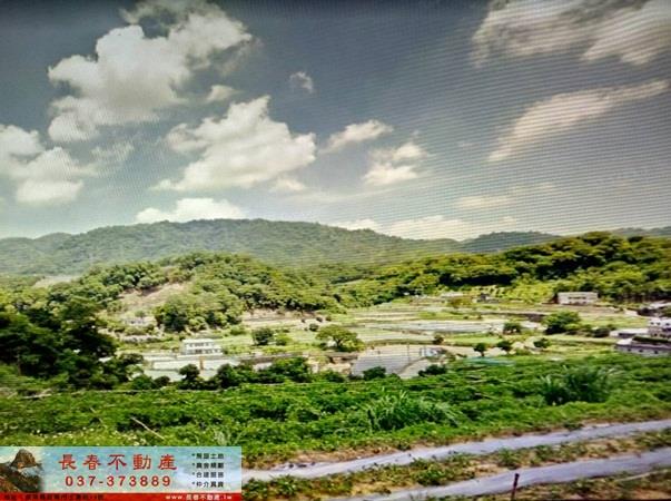 大湖農地-4
