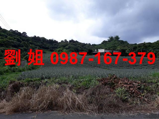 高雄農地-2