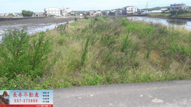 頭屋農地-1