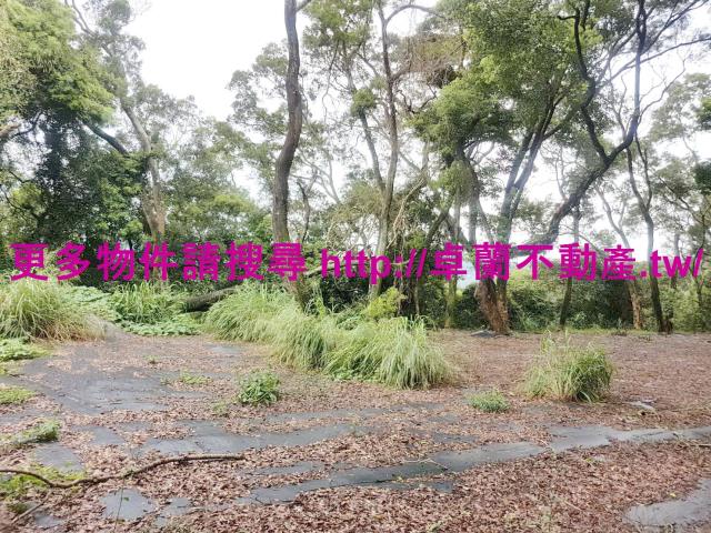 苗栗卓蘭農地-2
