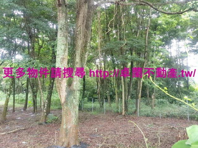苗栗卓蘭農地-3