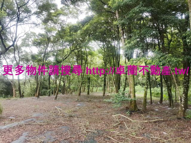 苗栗卓蘭農地-4