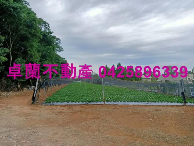 苗栗卓蘭農地-1