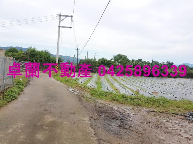 苗栗卓蘭農地-3