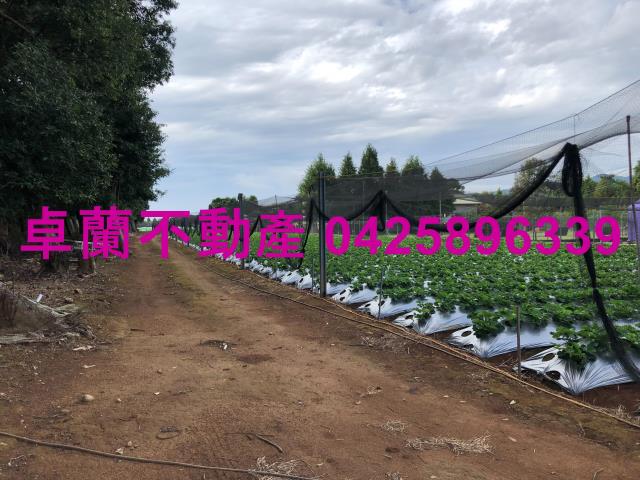 苗栗卓蘭農地-7