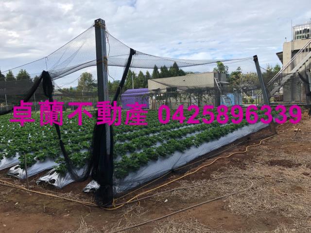 苗栗卓蘭農地-8