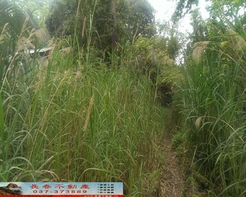 苗栗獅潭農地-2