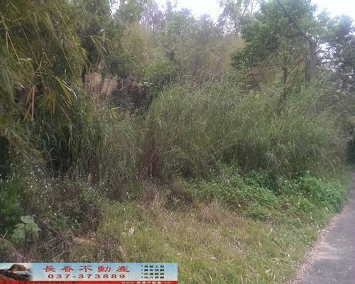 苗栗獅潭農地-6