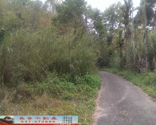 苗栗獅潭農地-7