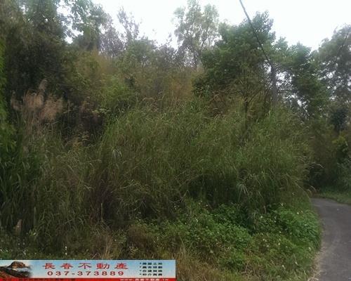 苗栗獅潭農地-8