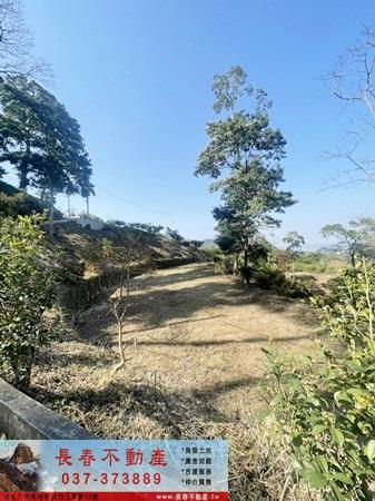 公館農地-3