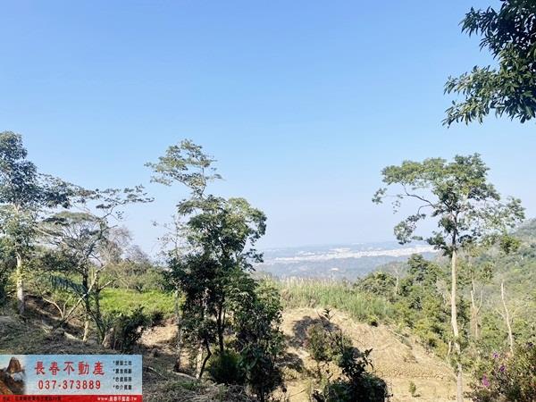 公館農地-4