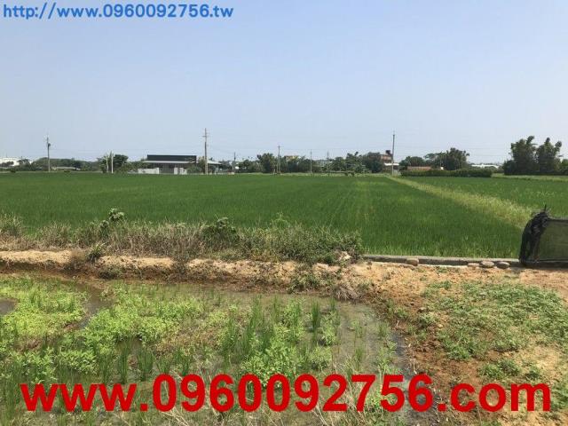 新竹湖口農地-5