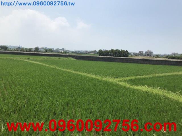 新豐農地-3