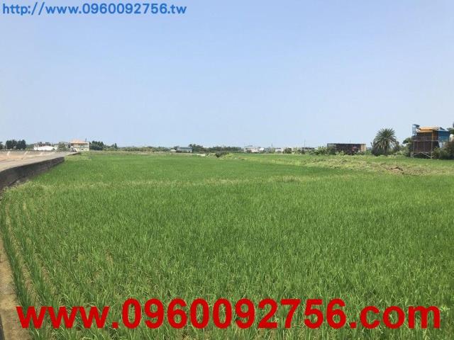 新豐農地-4