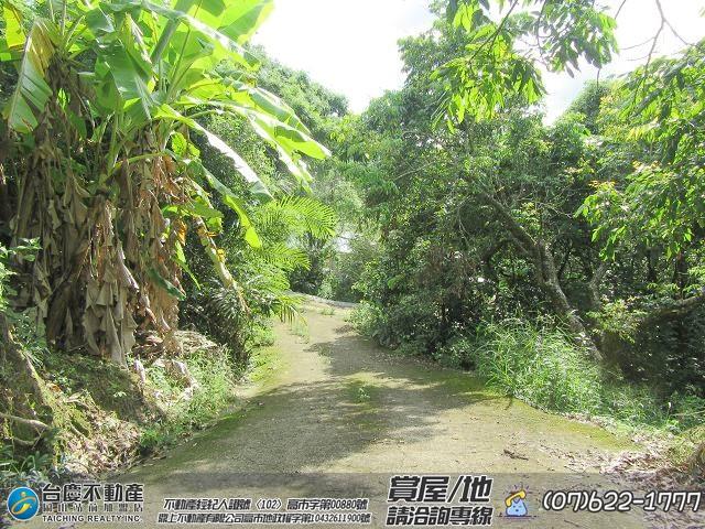 高雄內門農地-8