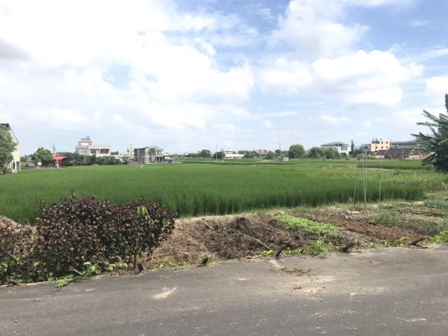 外埔農地-1