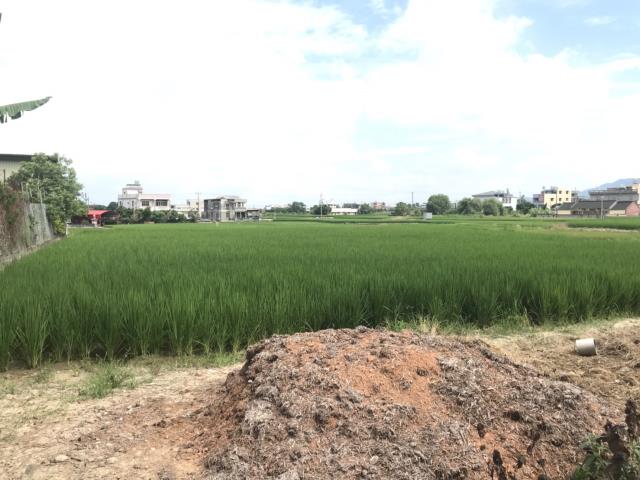 外埔農地-2
