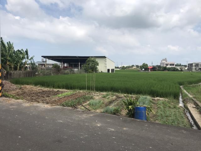 外埔農地-5