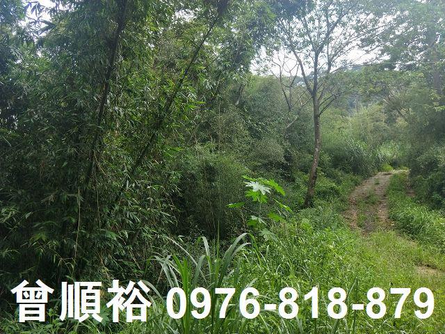 北埔農地-1
