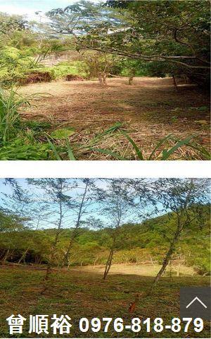 北埔農地-2