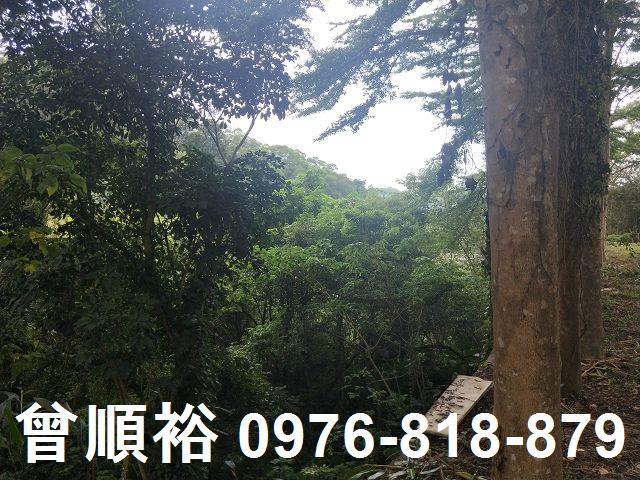 北埔農地-7