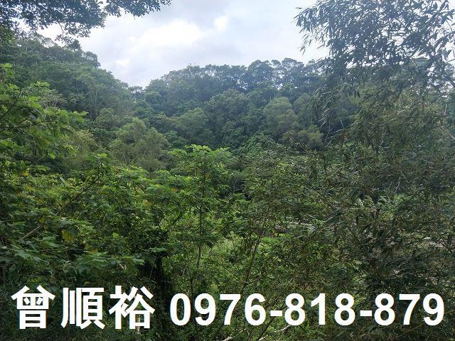 北埔農地-8