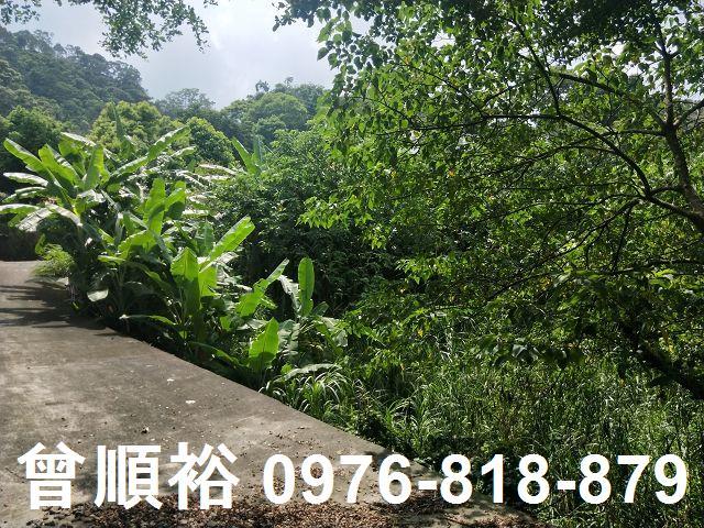 北埔農地-9