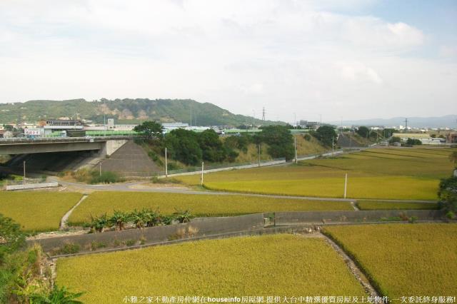 外埔農地-4