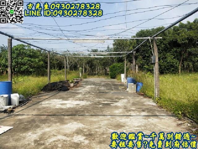 楠西農地-10