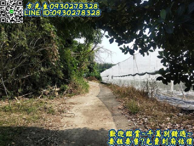 楠西農地-2